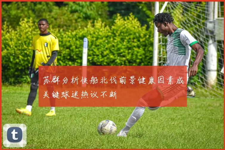 苏群分析快船北伐前景健康因素成关键球迷热议不断
