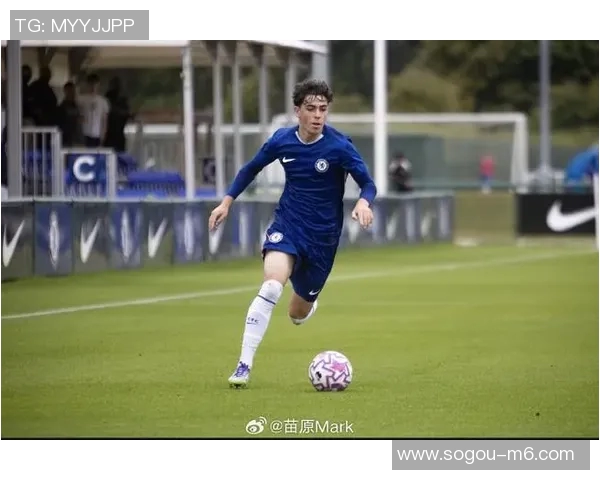 米兰22岁中卫库比斯加盟桑普并租借至克卢日展开新征程